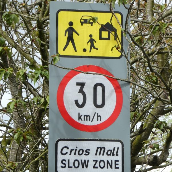 Why do people <br>break traffic <br>rules and laws?